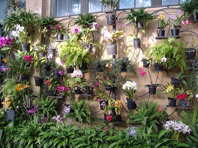 364 Longwood Gardens [2008 August 23].JPG - Longwood Gardens in Pennsylvania